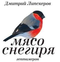 Дмитрий Липскеров - Мясо снегиря (гептамерон)