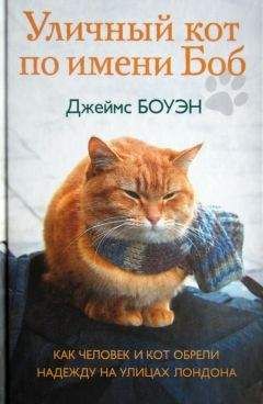 Джеймс Боуэн - Уличный кот по имени Боб. Как человек и кот обрели надежду на улицах Лондона