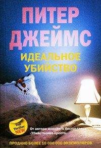 Питер Джеймс - Идеальное убийство