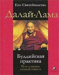Далай-лама XIV - Буддийская практика. Путь к жизни полной смысла