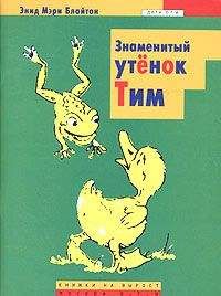 Энид Блайтон - Знаменитый утенок Тим