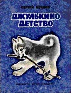 Сергей Иванов - Джулькино детство