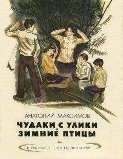 Анатолий Максимов - Чудаки с Улики. Зимние птицы