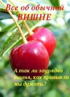 Иван Дубровин - Все об обычной вишне