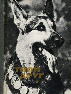 К. Глиер - Твой друг (Сборник по собаководству, 1973 г.)