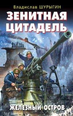 Владислав Шурыгин - Зенитная цитадель. «Не тронь меня!»