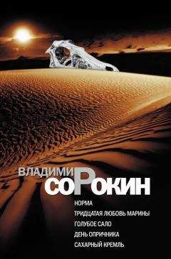 Владимир Сорокин - Норма. Тридцатая любовь Марины. Голубое сало. День опричника. Сахарный Кремль