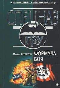 Михаил Нестеров - Формула боя