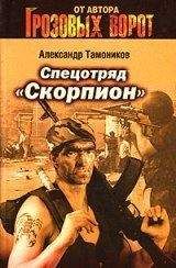 Александр Тамоников - Спецотряд «Скорпион»
