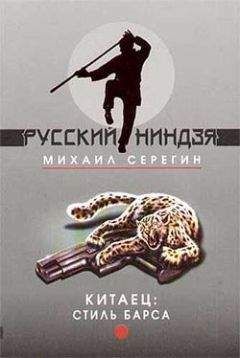 Михаил Серегин - Стиль барса