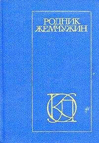 Амир Дехлеви - Газели
