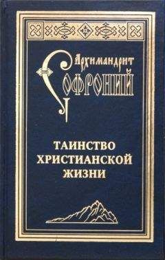 Софроний (Сахаров) - Таинство христианской жизни