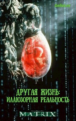 Другая жизнь: Иллюзорная реальность (СИ) - "GelioLex"