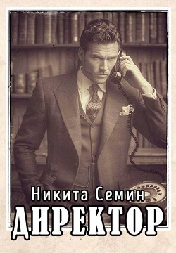 Директор (СИ) - Семин Никита