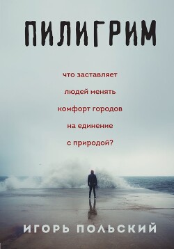 Пилигрим: дневники начала конца света - Польский Игорь