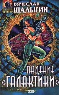 Вячеслав Шалыгин - Падение "Галактики"