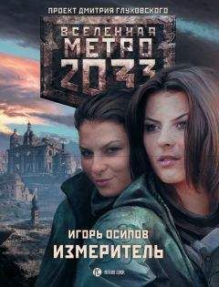Игорь Осипов - Измеритель